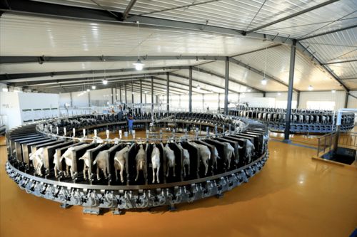 和林格爾縣 黨建引領 多元驅動 打好產業(yè)發(fā)展 組合拳