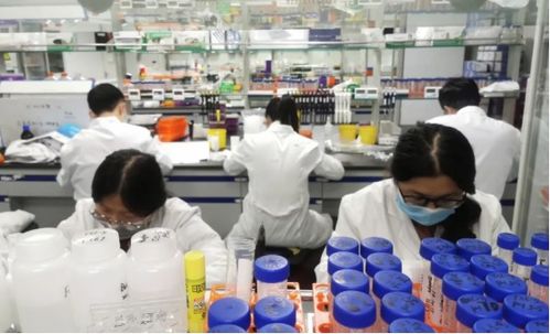 南京 新年第一會 真金白銀支持民營經濟發(fā)展壯大