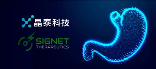 晶泰科技攜手希格生科，推動(dòng)彌漫性胃癌項(xiàng)目獲重大進(jìn)展